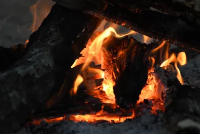 DSC_3710 (Large).JPG